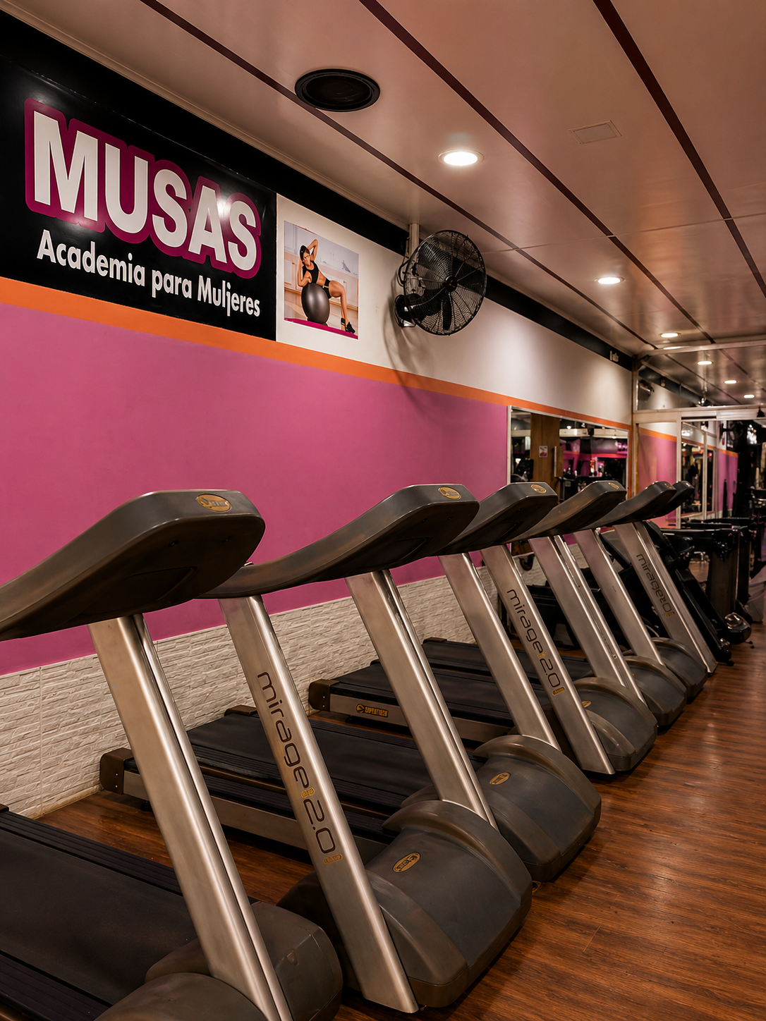 MUSAS Academia - espaço interno